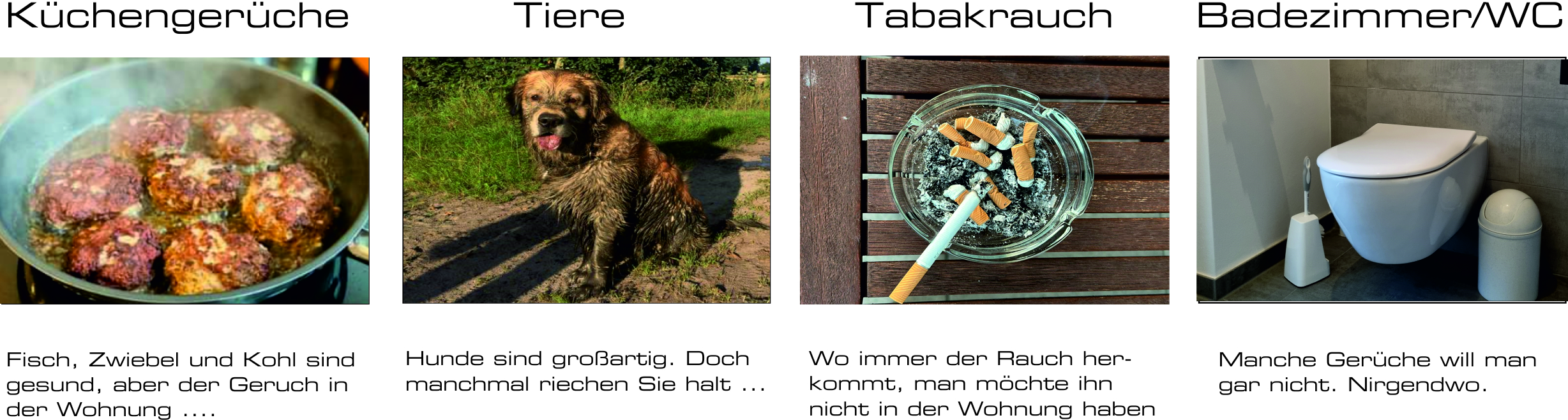 Frische Luft mit Plasmafilter